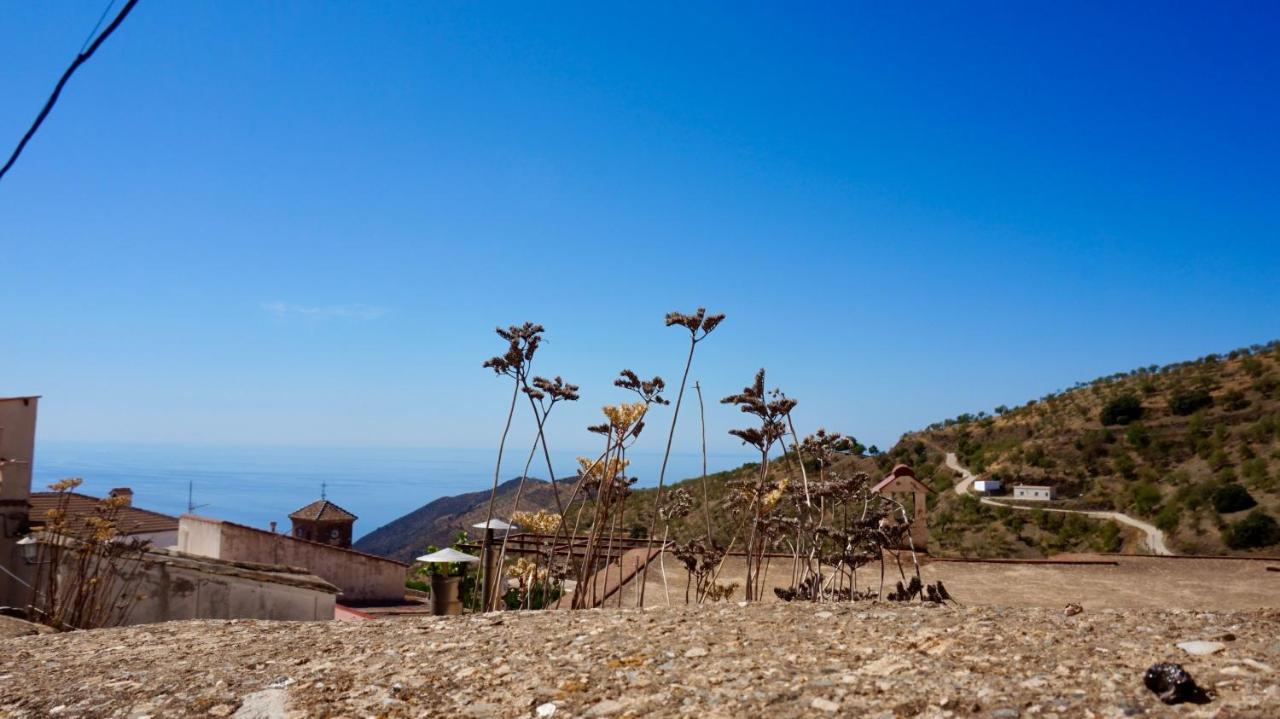 Casa Amigos Sorvilan - La Almendra Buitenkant foto