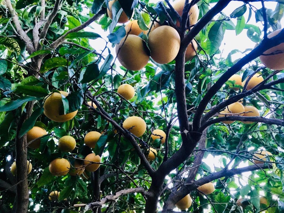 Casa Amigos Sorvilan - La Almendra Buitenkant foto