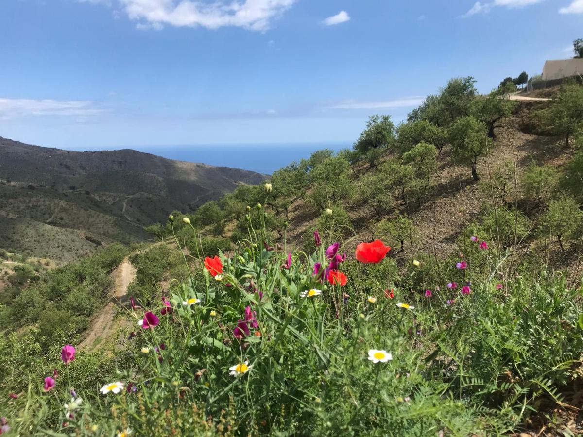 Casa Amigos Sorvilan - La Almendra Buitenkant foto