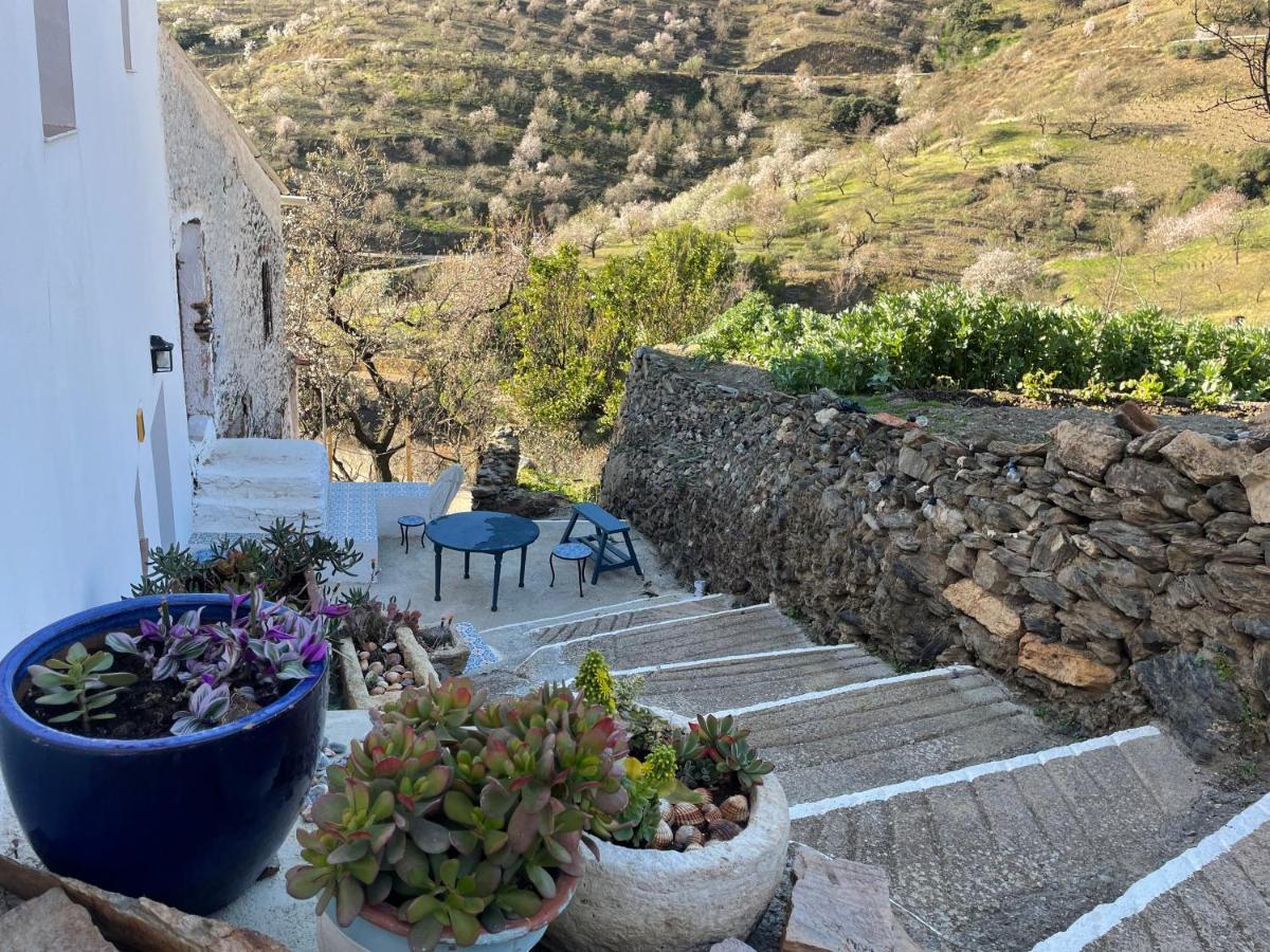 Casa Amigos Sorvilan - La Almendra Buitenkant foto