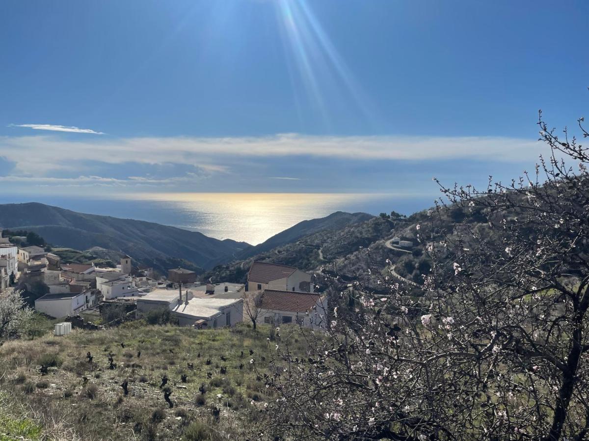 Casa Amigos Sorvilan - La Almendra Buitenkant foto
