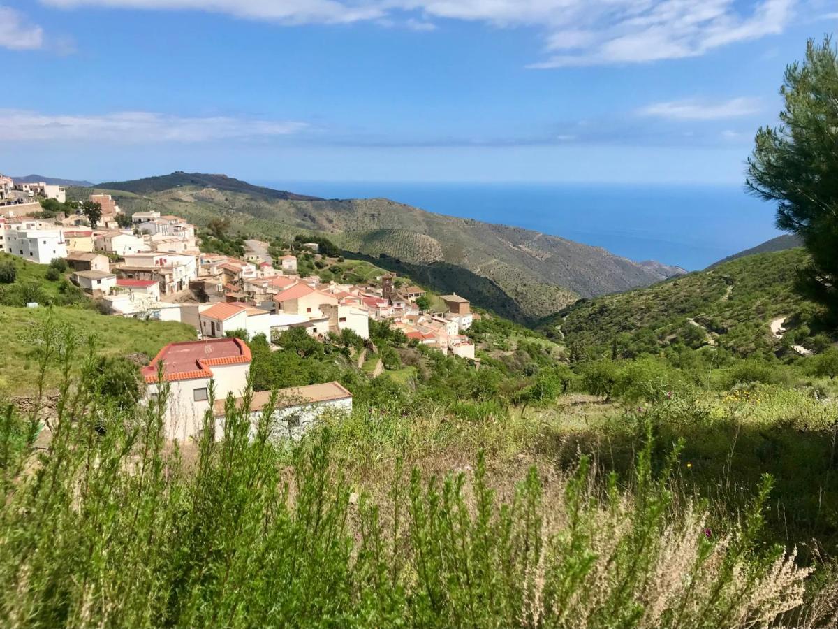 Casa Amigos Sorvilan - La Almendra Buitenkant foto